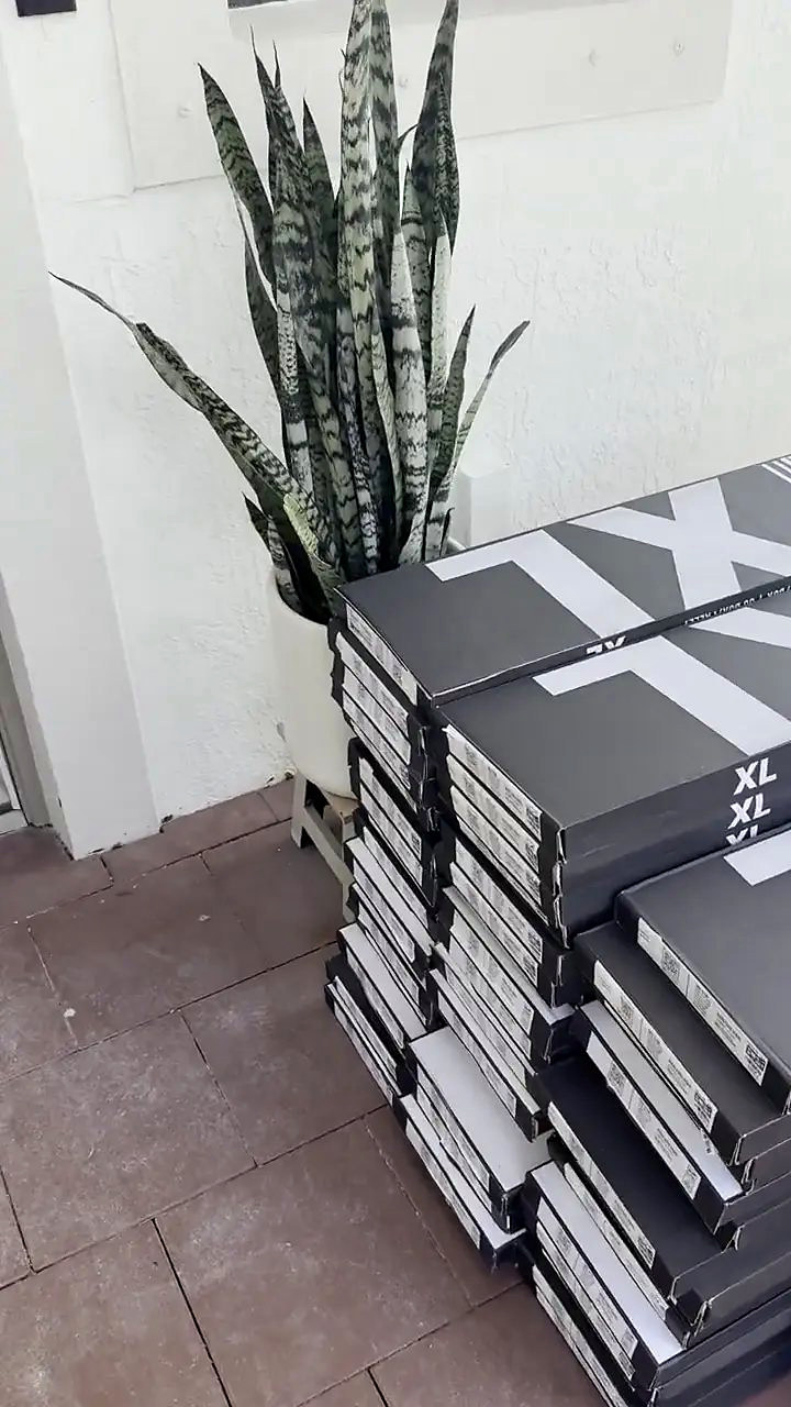 Boxes of flooring stacked on a patio beside a snake plant, delivered ahead of install day
